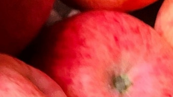 陕西正宗洛川红富士苹果：健康与美味的完美结合