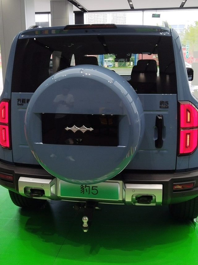 方程豹与欧冠的事情