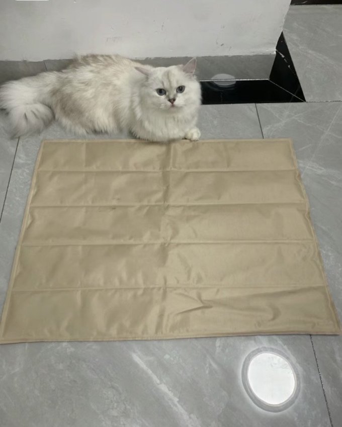 猫狗窝