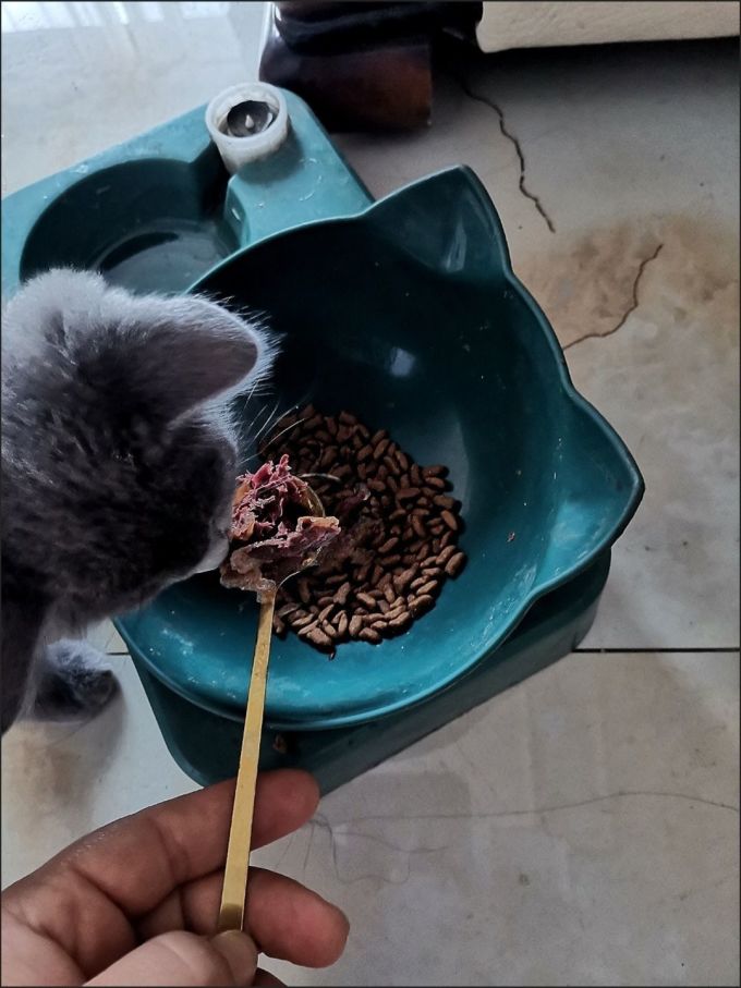 猫咪零食罐/妙鲜包