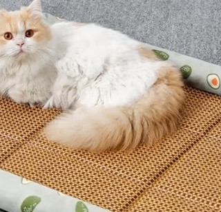 licheers猫狗窝凉席