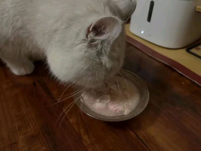 猫咪零食罐/妙鲜包