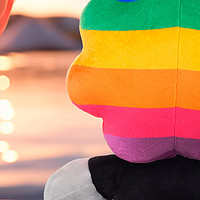 当彩虹就在你身边，请你告诉我，「彩虹狮花湾」毛绒玩具