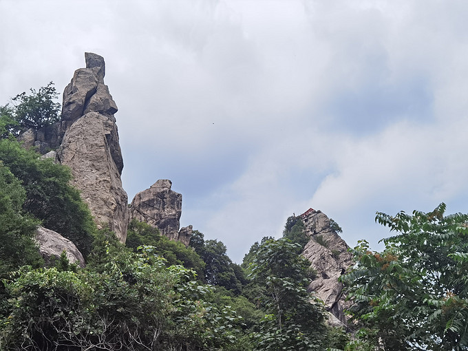 骆驼越野跑鞋