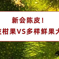 新会陈皮！茶枝柑果VS多样陈皮鲜果大PK