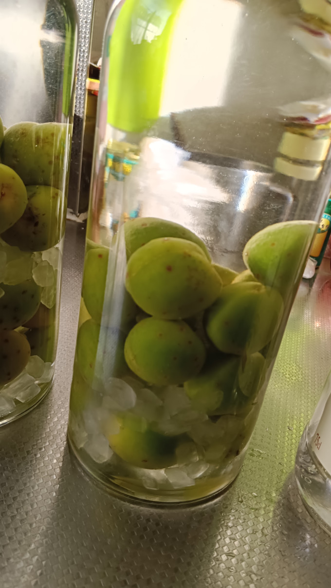 维波罗瓦其他洋酒