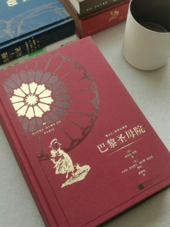 高中生课外阅读推荐-《巴黎圣母院》