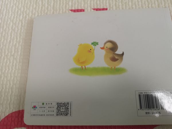暑假阅读之小鸡球球