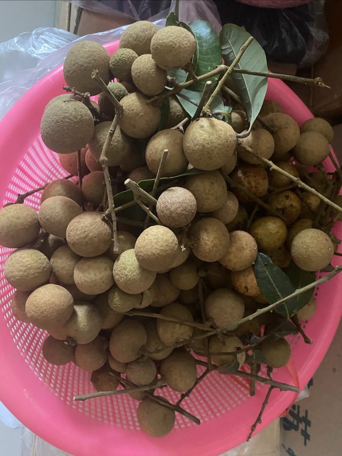 其他水果