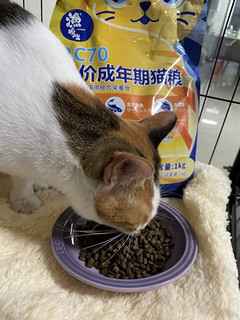 无谷全价成猫猫粮1kg2斤装