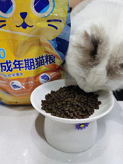 无谷全价成猫猫粮1kg2斤装