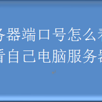 服务器端口号怎么看，怎么查看自己电脑服务器端口号