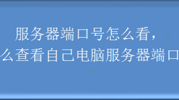 服务器端口号怎么看，怎么查看自己电脑服务器端口号