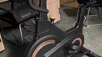动感单车家用磁控超静音智能室内减肥器材健身房专用运动自行车