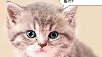 《麦富迪猫咪冻干羊奶棒奶酪棒》：猫咪的全方位营养与口腔健康零食