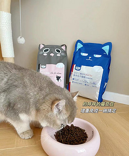 猫咪无法抵抗的6种食物