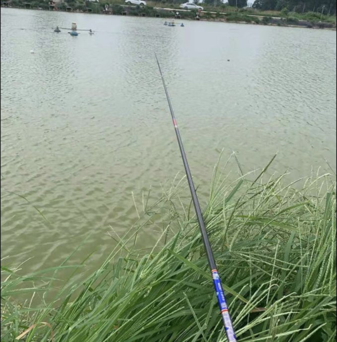 锐普鱼竿