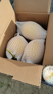 新疆哈密瓜是,夏季里不可或缺水果，清甜多汁