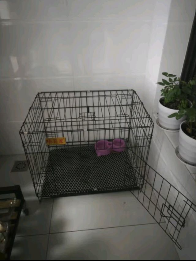 华美龙 狗笼子小型犬中型犬带厕所泰迪柯基比熊柴犬宠物狗窝室内狗围栏 白【免安装】61*42*50（12斤内）