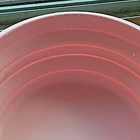 夏日里的宠物健康与GiGwi硅胶折叠便携水碗