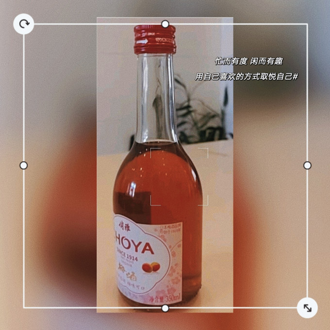 俏雅酒类