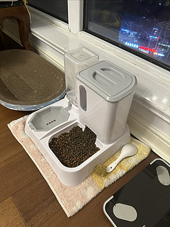 ￼猫咪自动喂食器，猫碗！