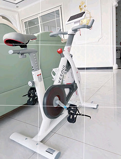 野小兽（YESOUL）动感单车家用智能静音磁控健身车100档阻力调节室内运动健身器材 S1典雅白