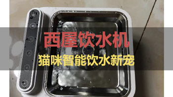 智护猫咪饮水，乐享智能新宠