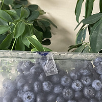 营养美味的超大蓝莓分享！看球必备的小水果。
