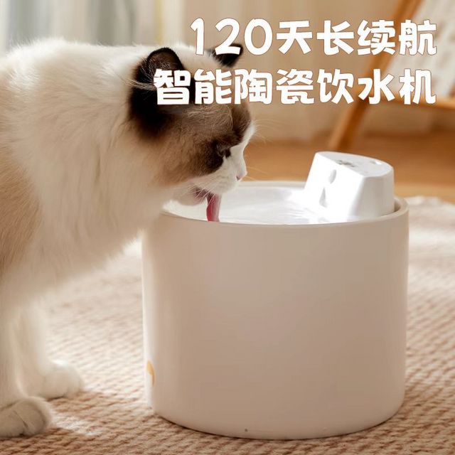 猫咪饮水