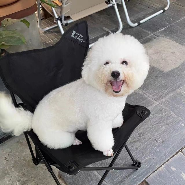 是一款让我非常满意的宠物食品。