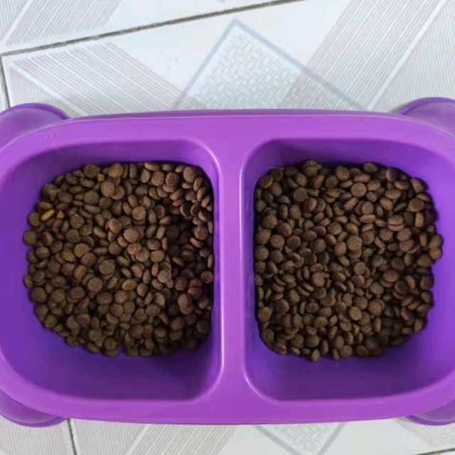 猫咪也能吃大餐？试试这款猫粮！