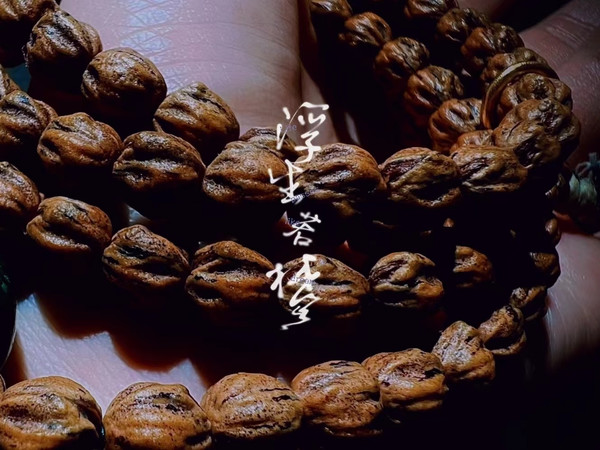 好看的
