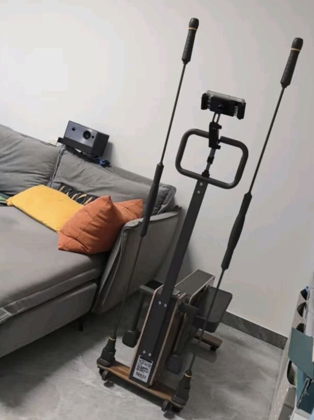 梵品椭圆机家用椭圆仪 太空漫步机暴汗运动有氧健身器材 小型踏步机