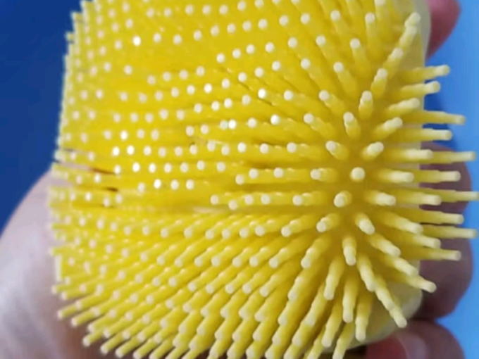 悠梵萌宠物梳子/刷子