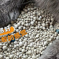 膨润土猫砂、豆腐猫砂、混合猫砂和矿物猫砂，你怎么选择才是最实用的。