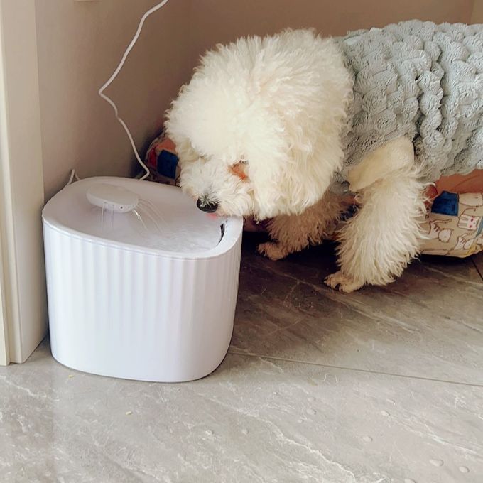 小佩宠物食具水具