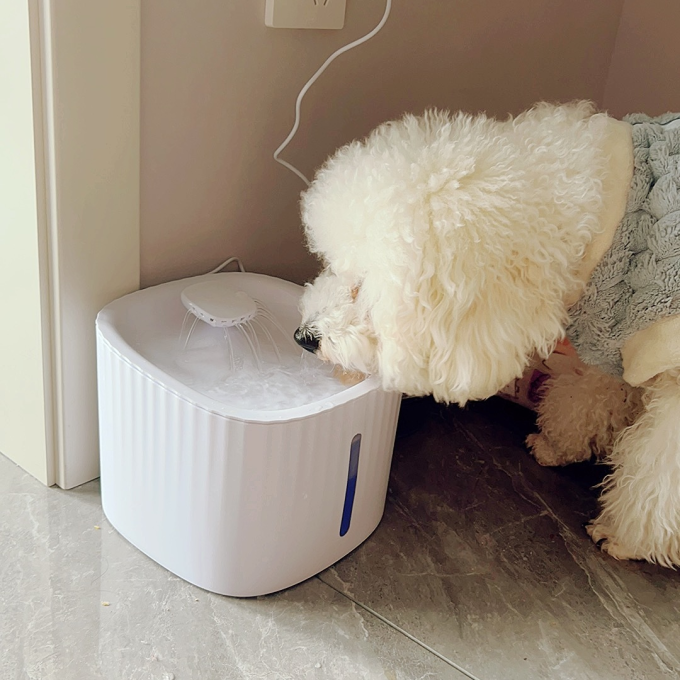 小佩宠物食具水具