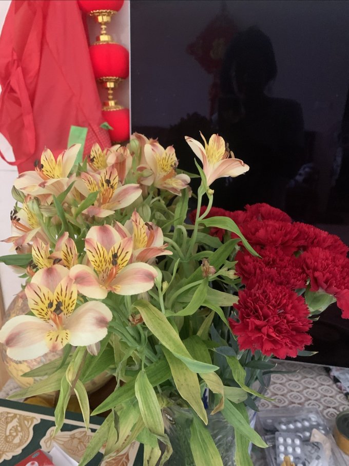 京东鲜花鲜花