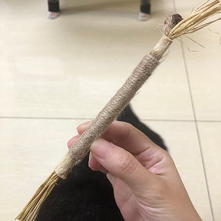 夏天就是空调房里遛猫，一根破木棍能让猫子嗨一天！