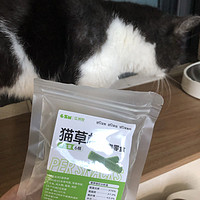 夏日来点猫草棒，促进挑食猫子胃口大开！