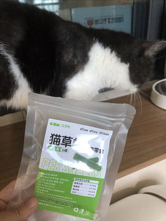 夏日来点猫草棒，促进挑食猫子胃口大开！