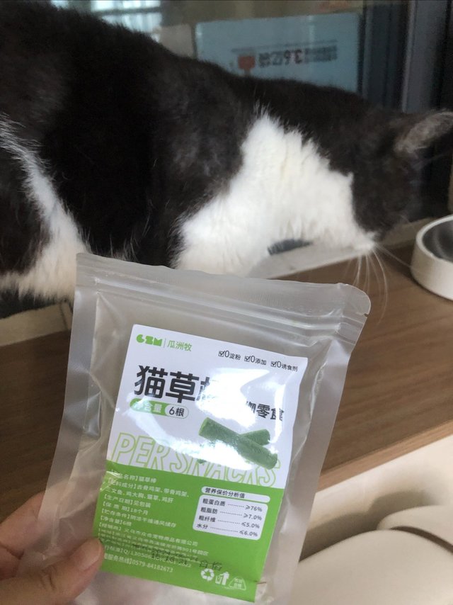 夏日来点猫草棒，促进挑食猫子胃口大开！
