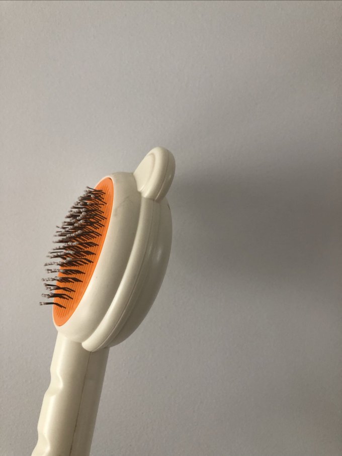 宠物梳子/刷子