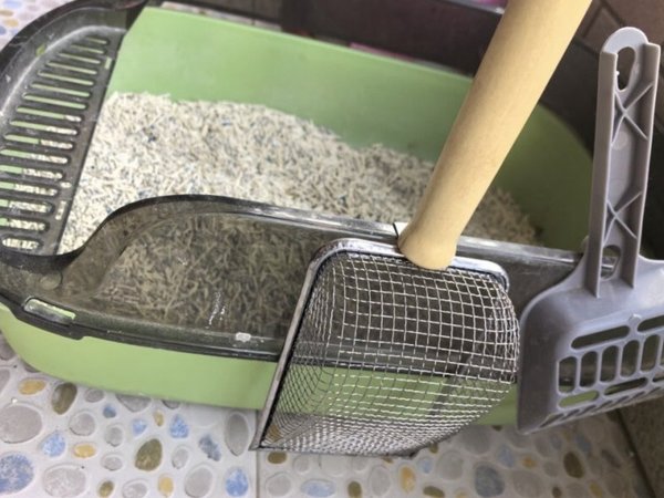 憨憨乐园"猫砂盆，你值得拥有！