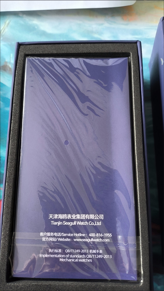 海鸥男款机械表