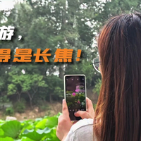 手机有个好用的长焦镜头,确实舒服!