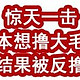 惊天一击！本想撸大毛，结果被反撸！