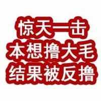 惊天一击！本想撸大毛，结果被反撸！