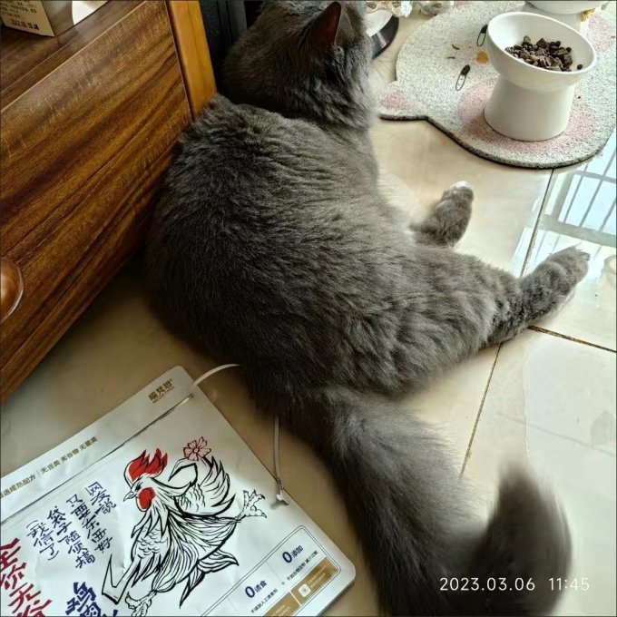 猫咪干粮